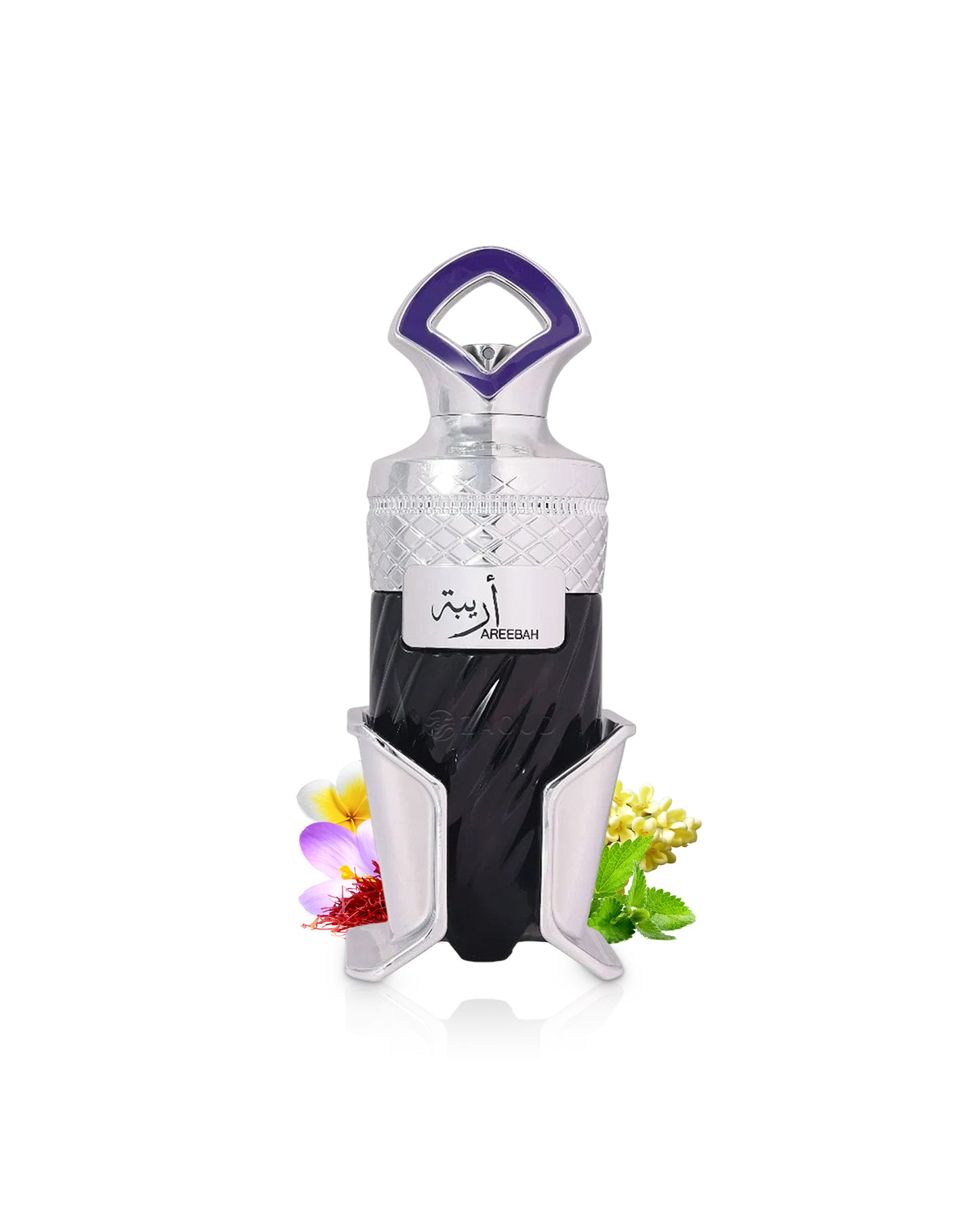 riiffs areebah perfume bottle surrounded with fragrance notes like saffron and patchouli shows against white background