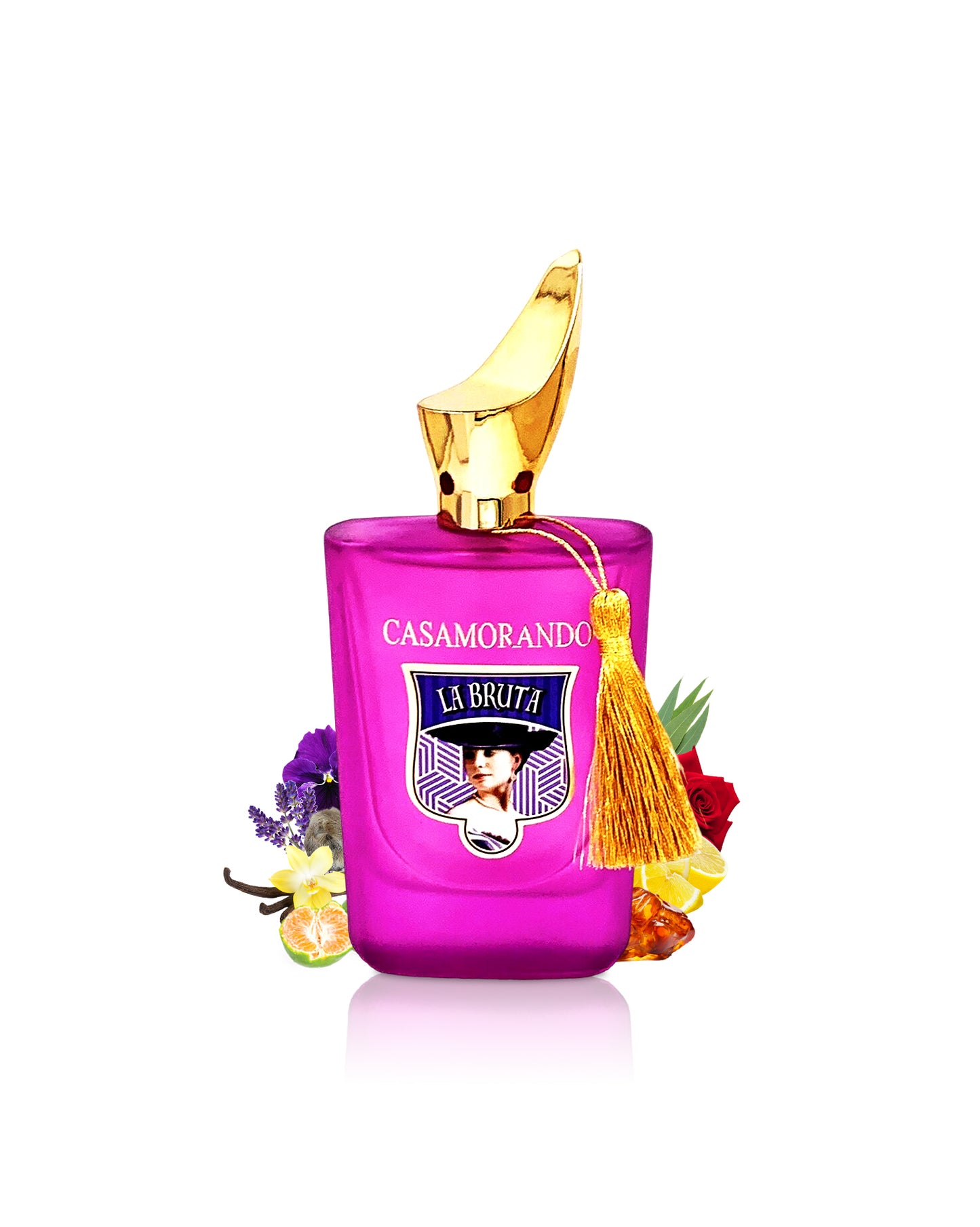 fragrace world casamorando la bruta perfume bottle surrounded with its ingredients like mandarin and amber with many others like rose and musk shows from behind the bottle against white background