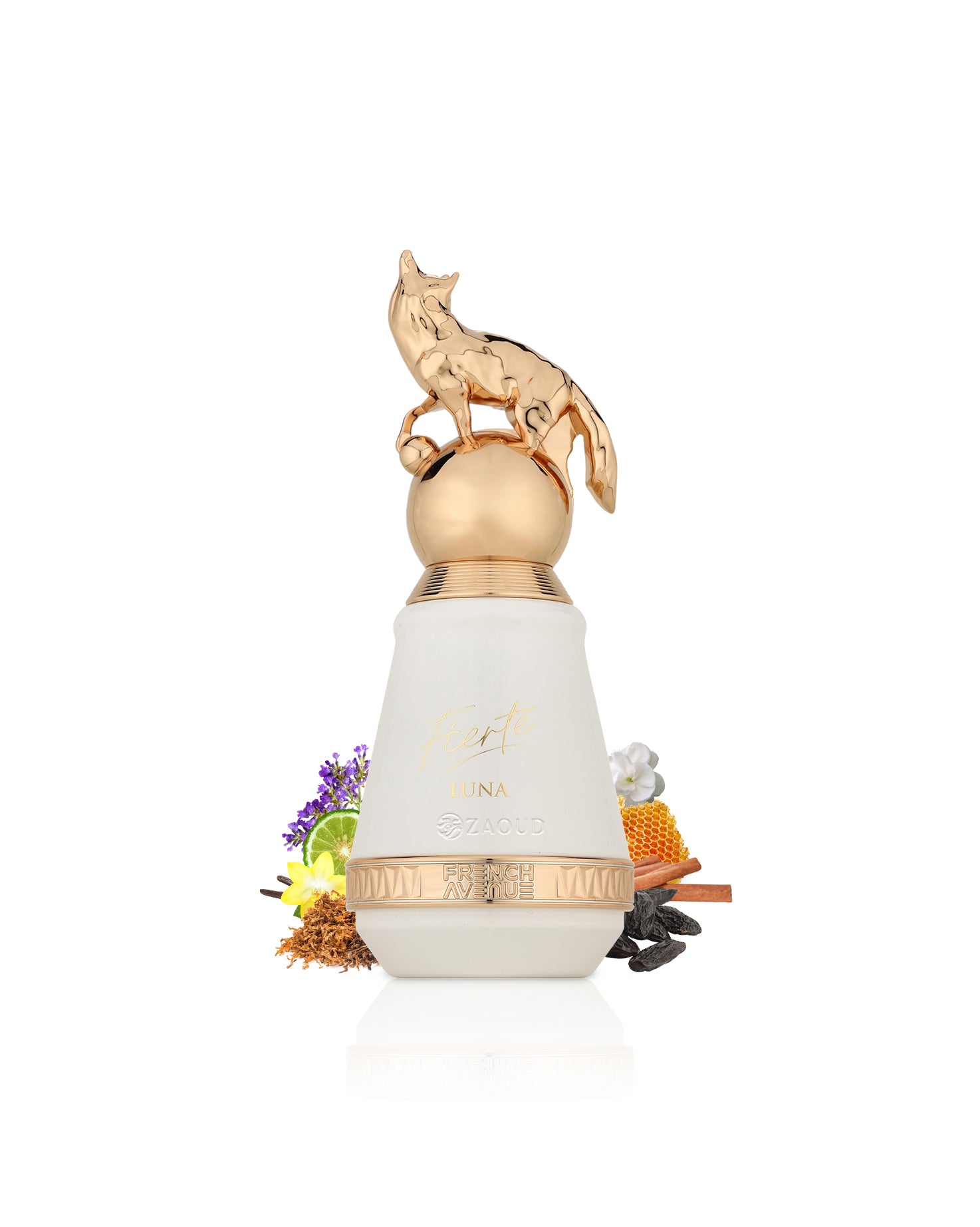 french avenue fierte luna White bottle surrounded by fragrance notes like tobacco and honey with gold cap on a white background