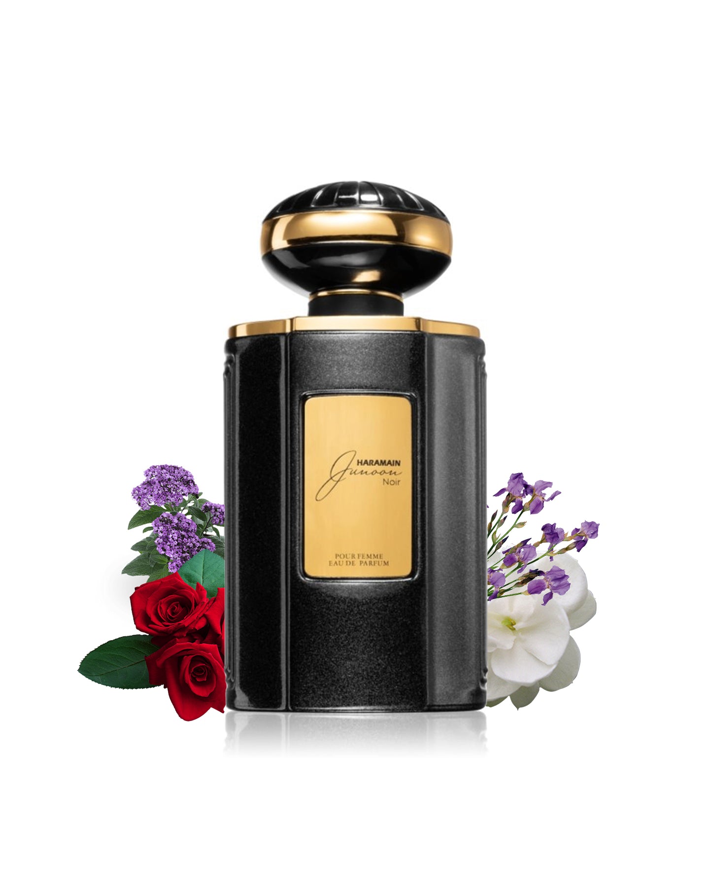 Junoon noir edp perfume bottle surrounded by rose jasmine against white background