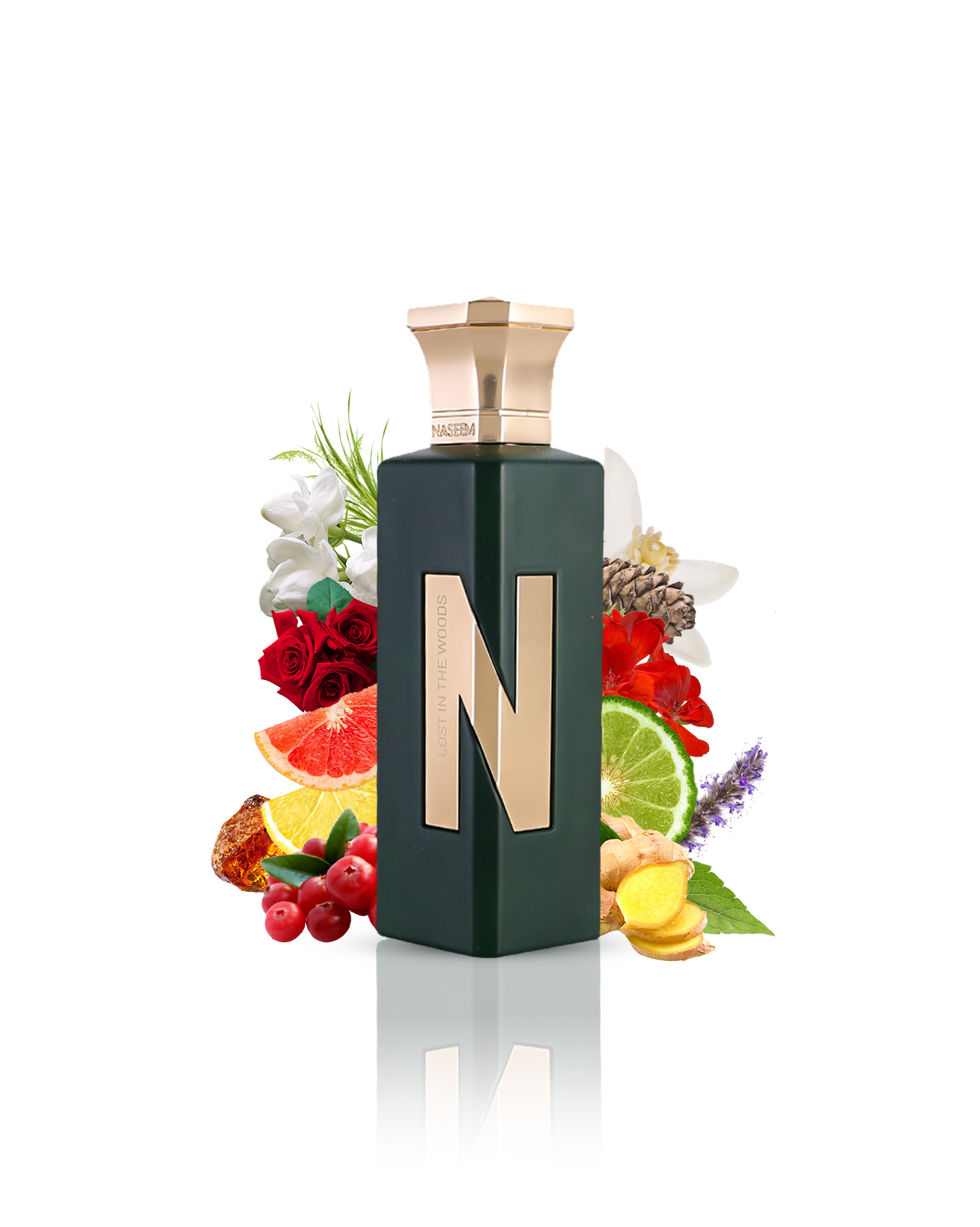 LOST IN THE WOODS aqua parfum bottle SURROUNDED BY ginger amber against white background
