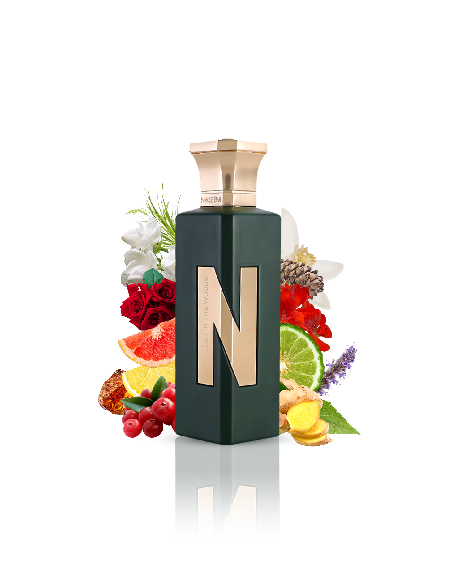 LOST IN THE WOODS aqua parfum bottle SURROUNDED BY ginger amber against white background