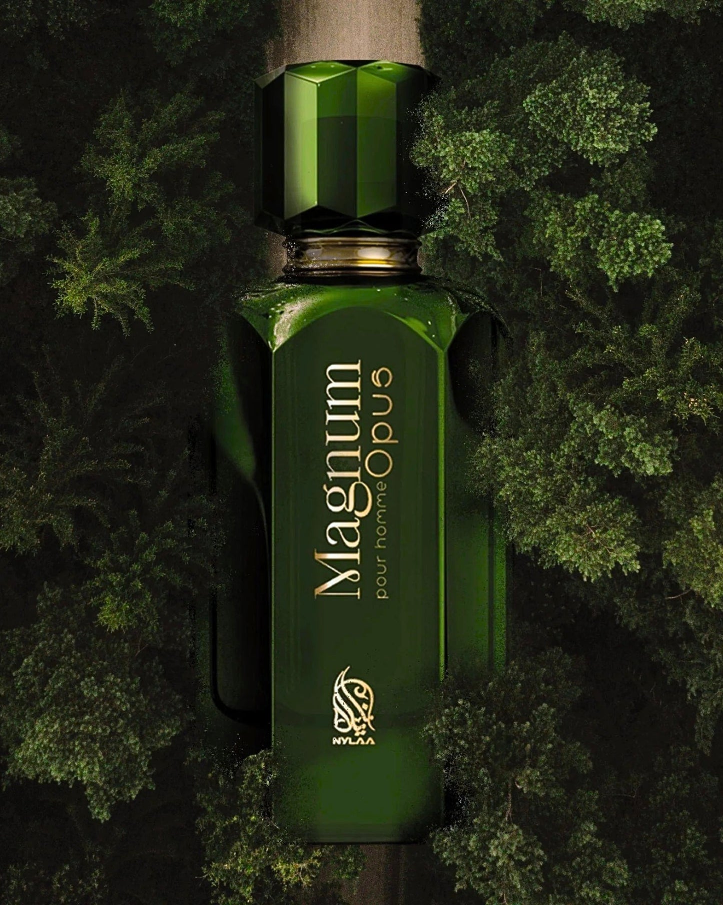 MAGNUM OPUS EDP
