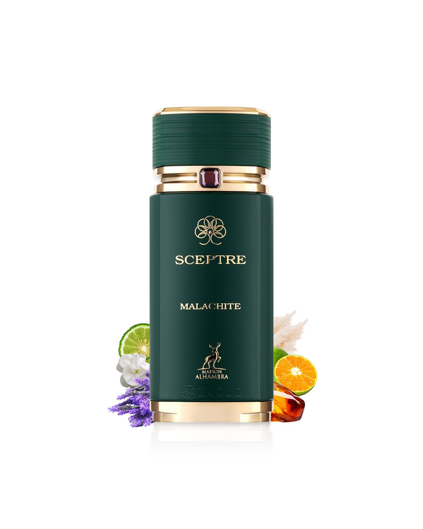 SCEPTRE MALACHITE perfume bottle surrounded with fragrance notes like bergamot and amber shws against white background