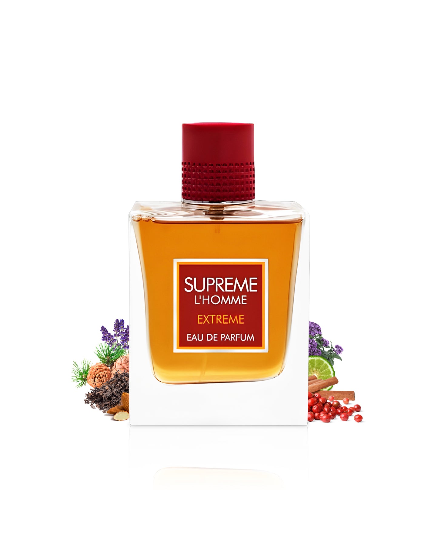 supreme l'homme perfume bottle surrounded with fragrance notes like almond and pine shows against white background