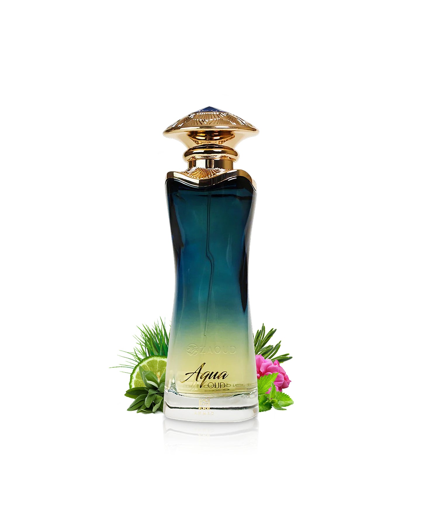 ahmed al maghribi aqua oud Perfume bottle labeled 'Aqua' with fragrance elements like sage and patchouli on a white background