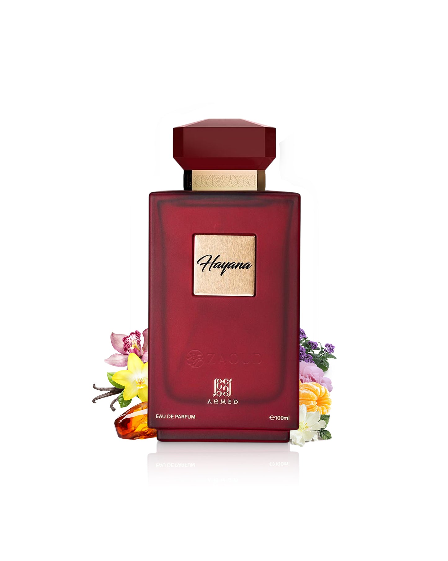 ahmed al maghribi hayana perfume bottle surrounded by fragrance notes like amber and vanilla shows against white background