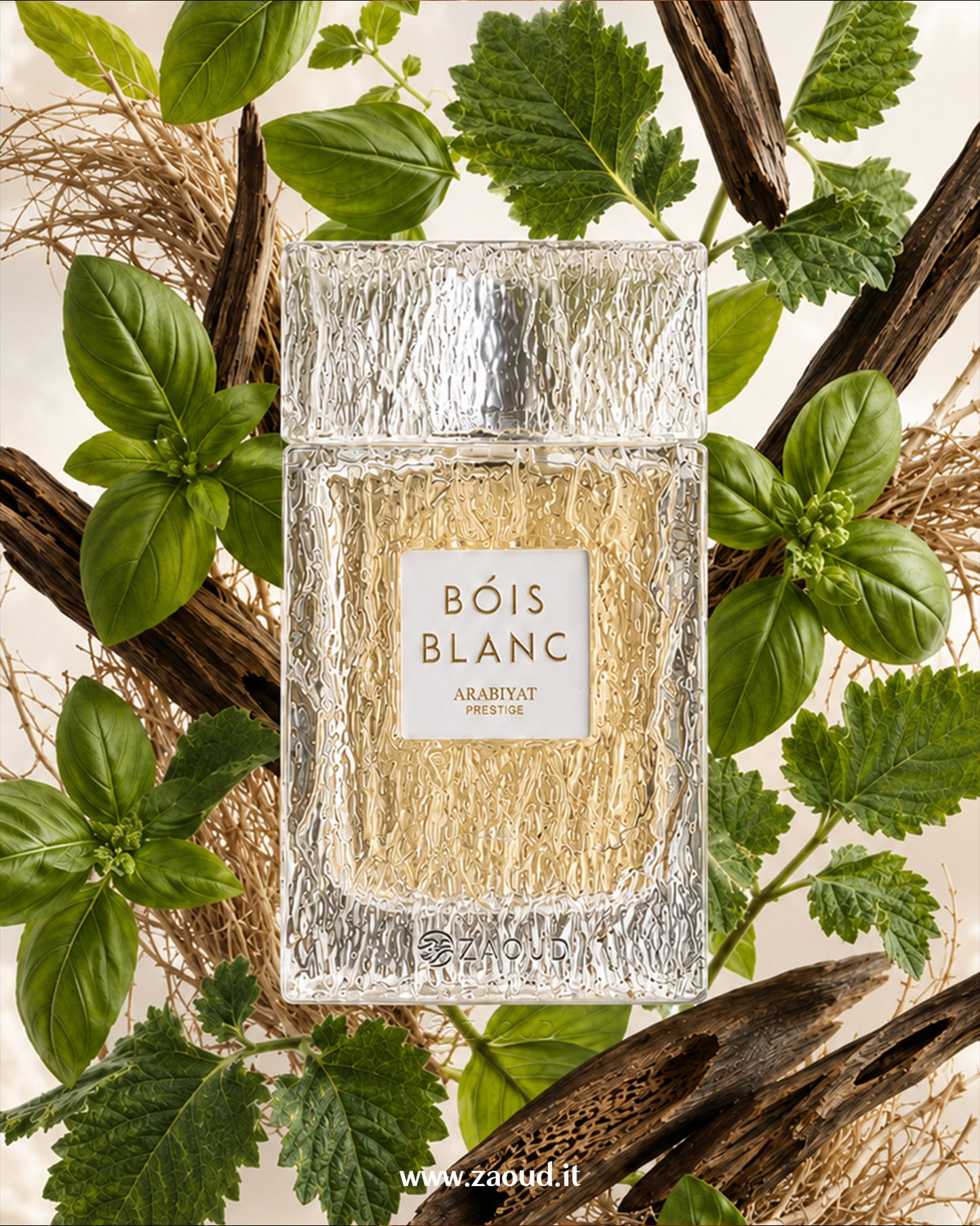 BOIS BLANC Edp