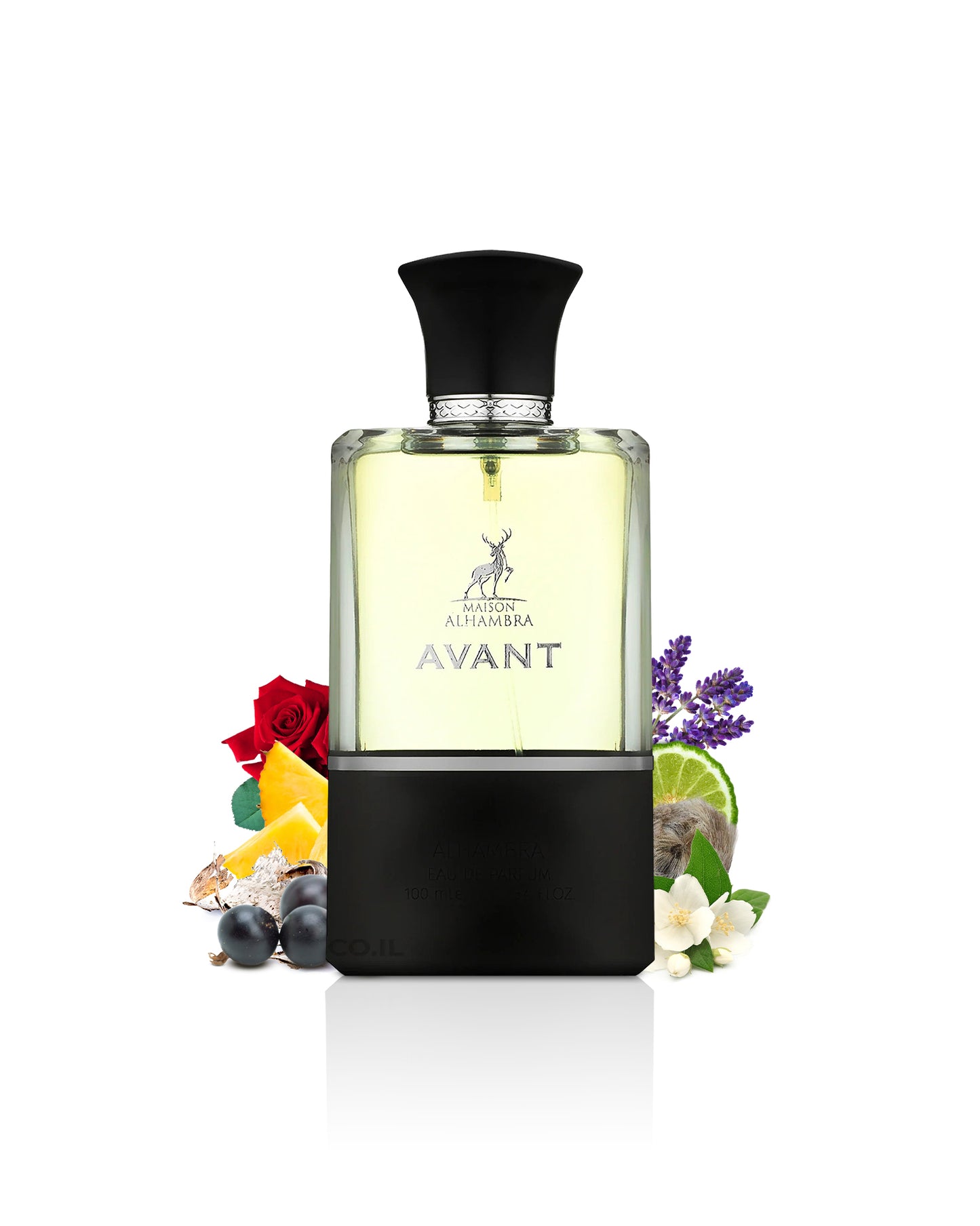 avant by maison alhambra perfume bottle surrounded with its ingredients like rose and black current with many others shows from behind the bottle against white background