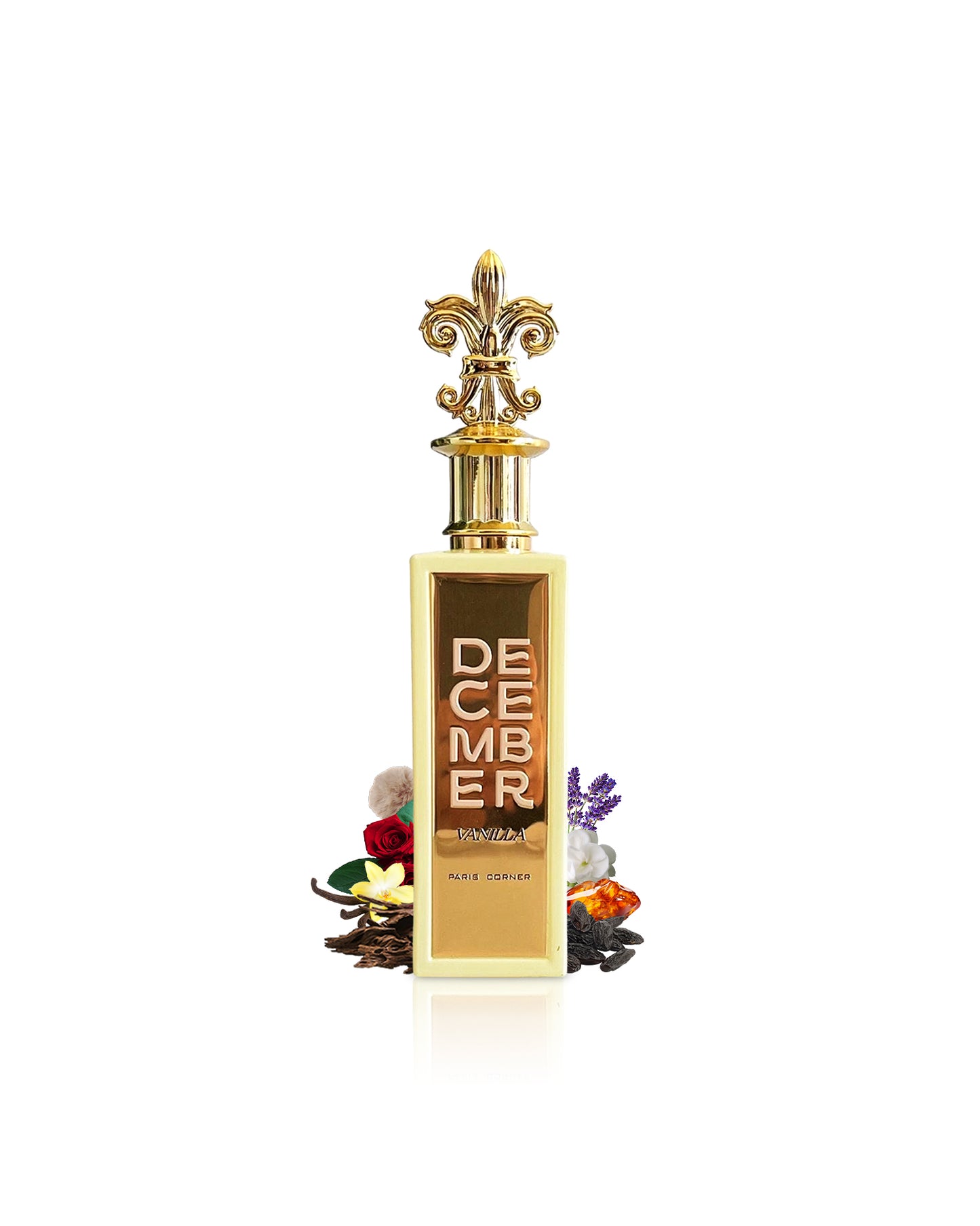 paris corner december vanilla perfume bottle surrounded with fragrance notes like vanilla and tonka beans shows from behind the bottle against white background