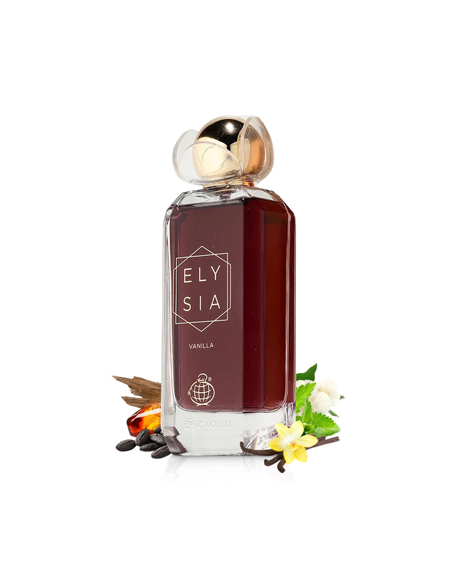 fragrance world elysia vanilla perfume bottle surrounded with fragrance notes like amber and vanilla shows against white background