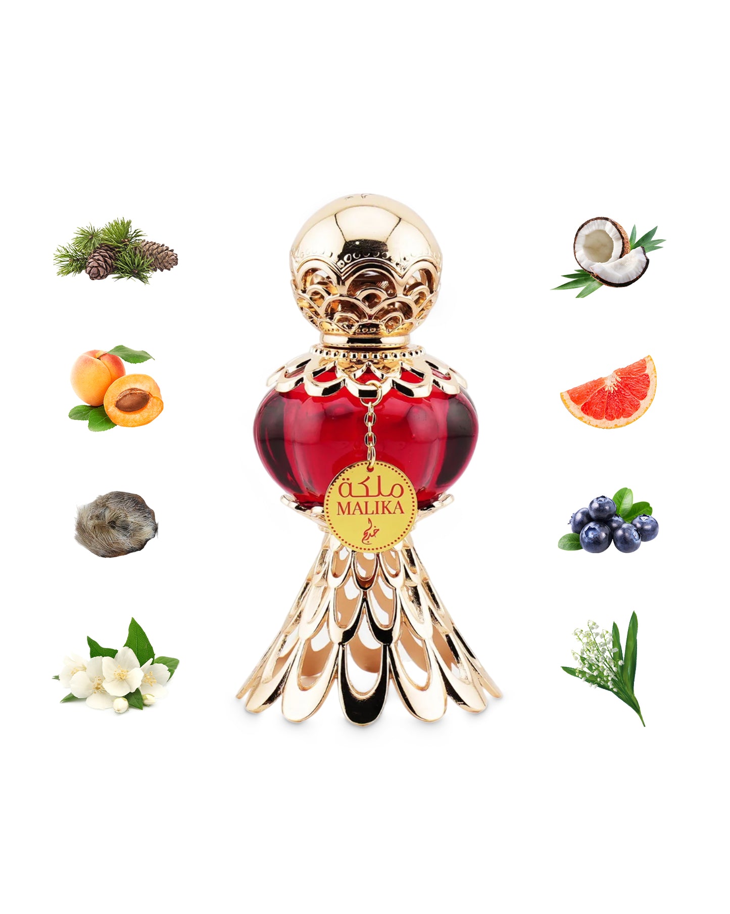 khadlaj malika red perfume oil bottle surrounded with its ingredients like peach and coconut shows from behind the bottle against white background