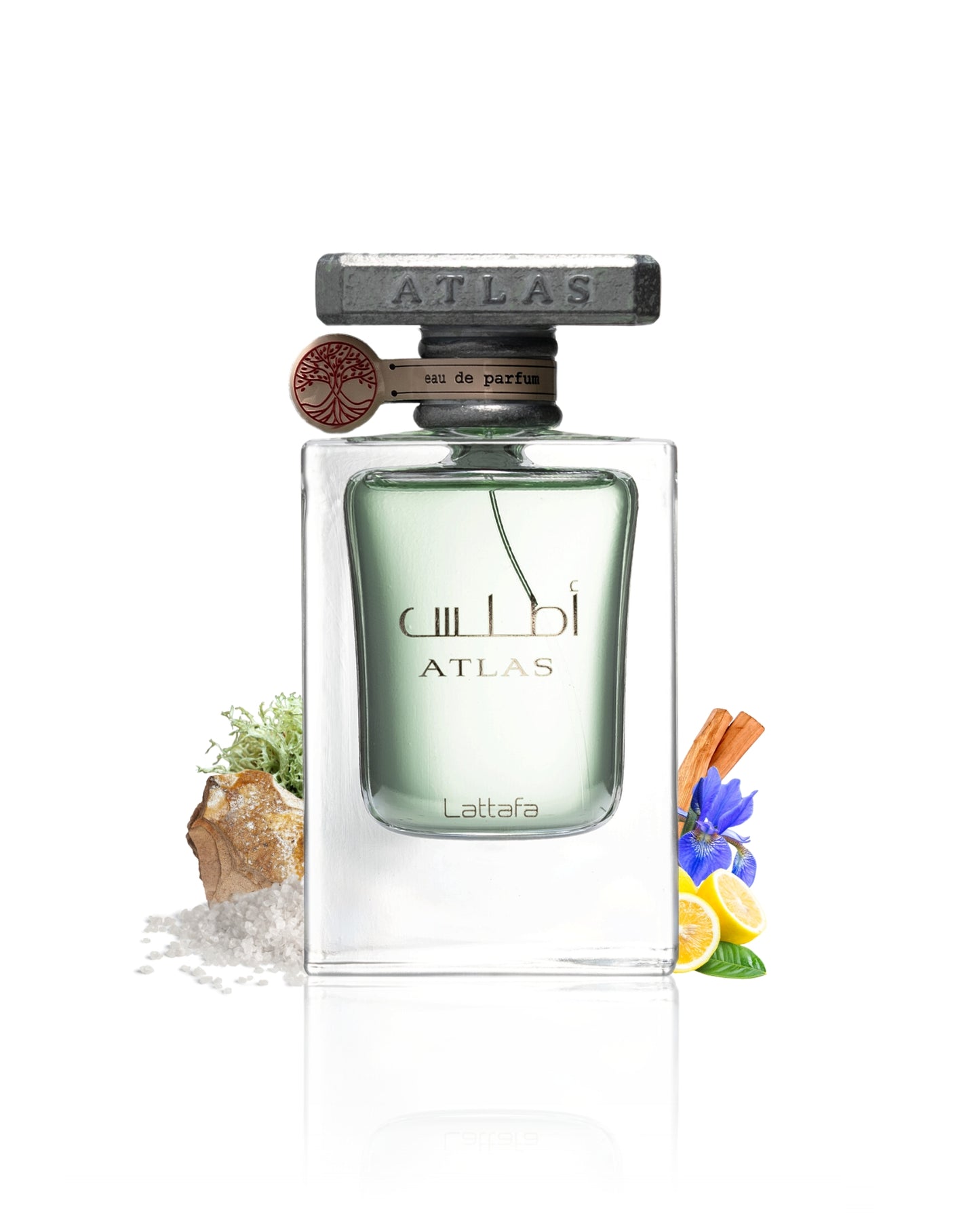 lattafa atas perfume bottle surrounded with fragrance notes like salt and lemon shows against white background
