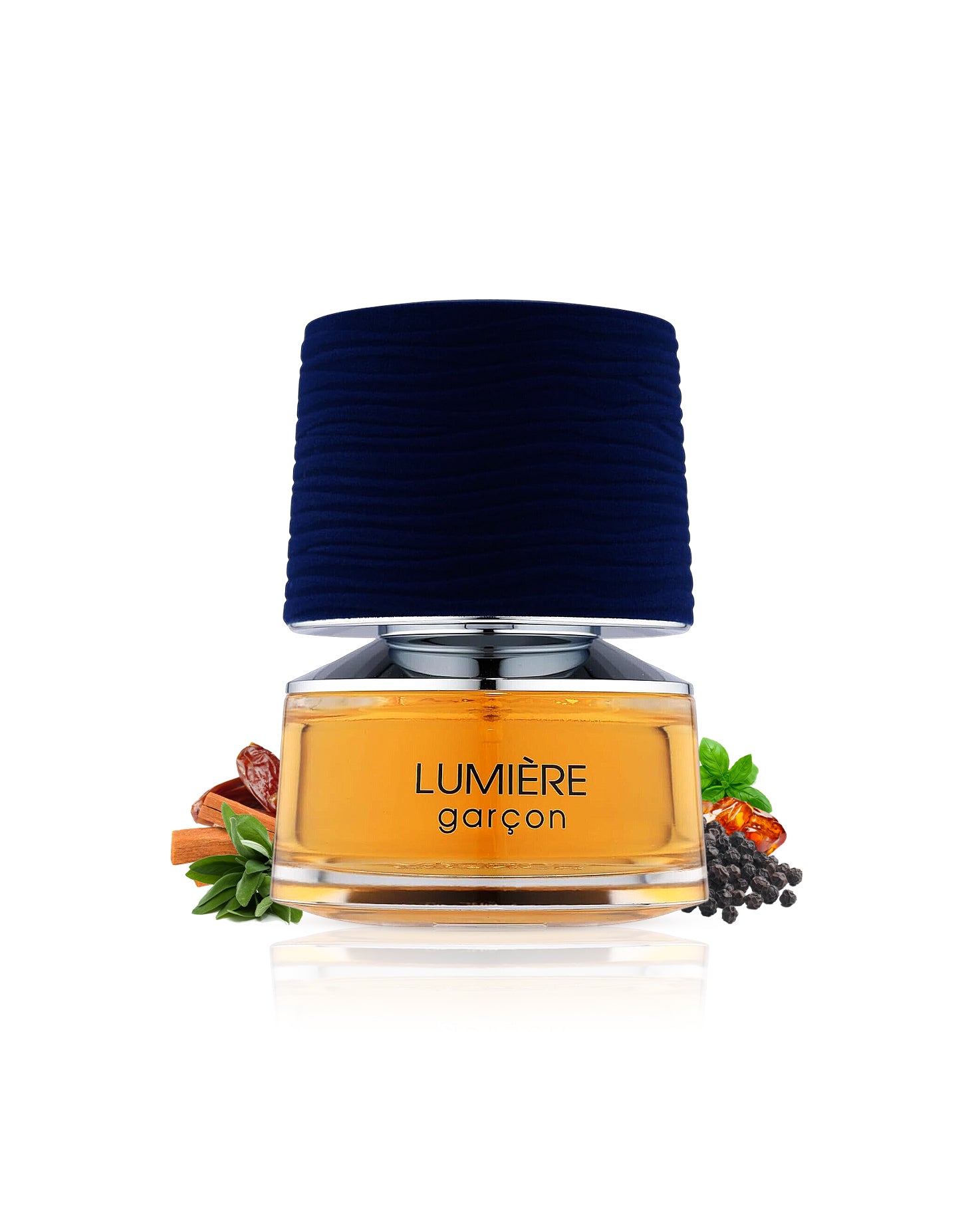 lumiere garcon perfume bottle surrounded with fragrance notes like black ppperfume bottle surrounded with fragrance notes like black pepper and amber shows against white backgroundep