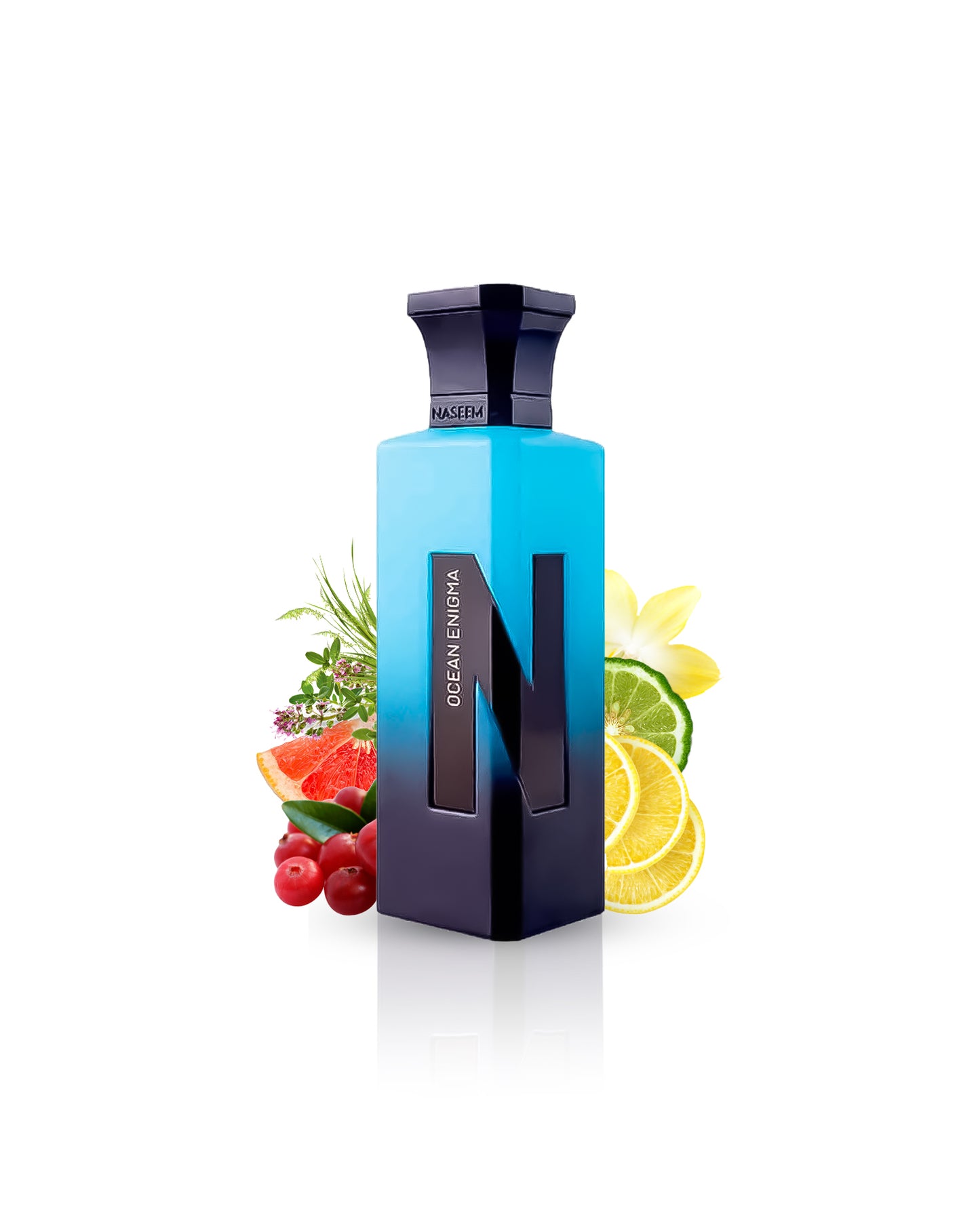 ocean enigma aqua parfum bottle surrounded by citrus vanilla against white background