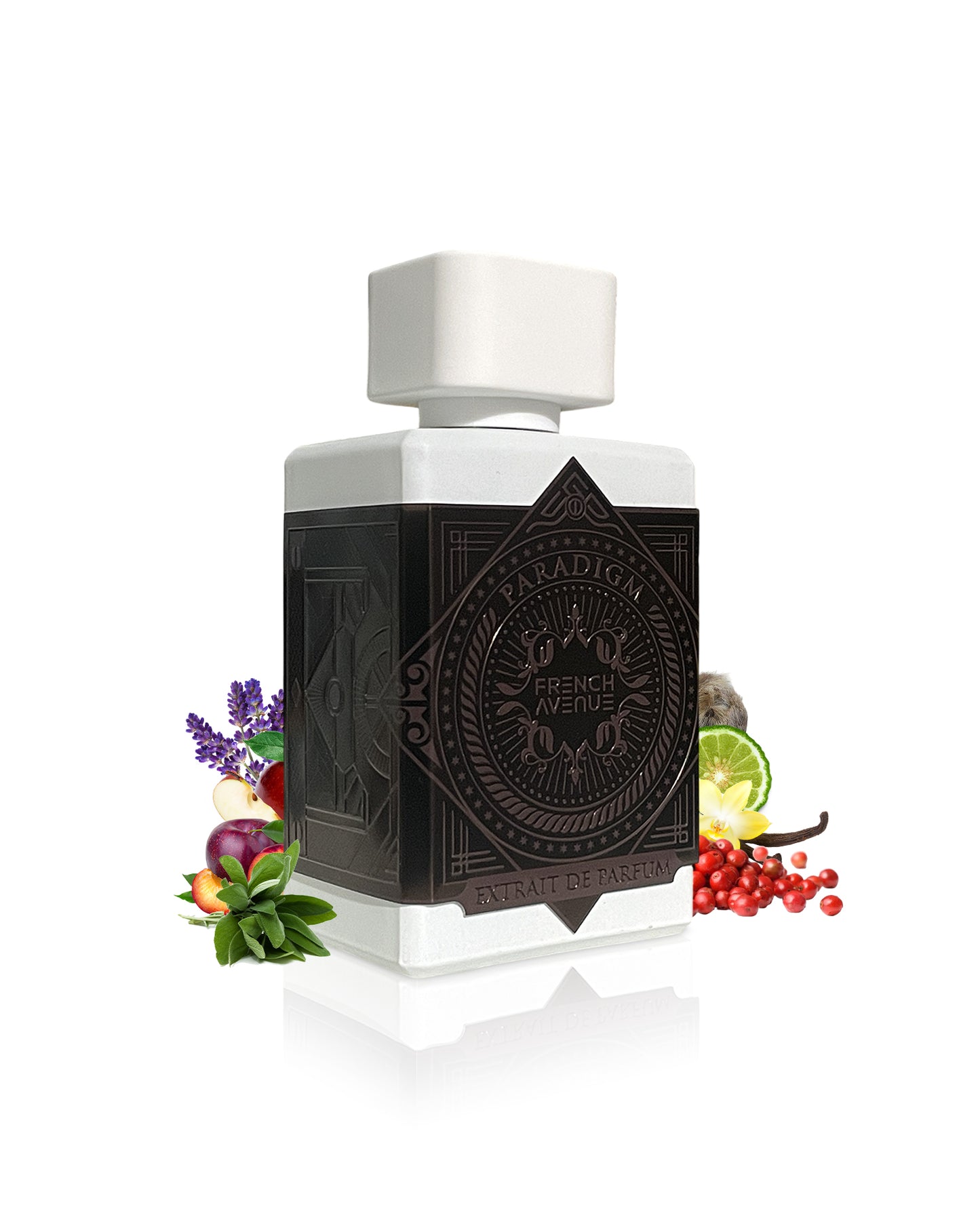 paradigm extrait perfume bottle surrounded with fragrance notes like sage and vanilla shows against white background