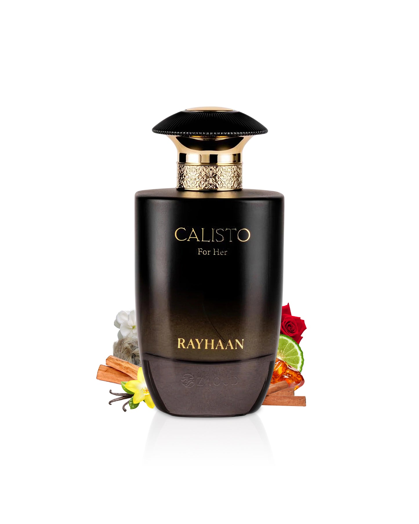Black perfume bottle with gold cap labeled 'Calisto for Her' by Rayhaan surrounded by ingredients on a white background.