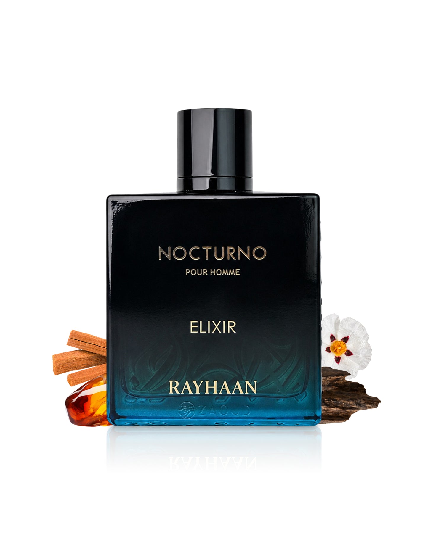 rayhaan nocturno elixir perfume bottle surrounded by fragrance notes like sandalwood and labdanum shows against white background