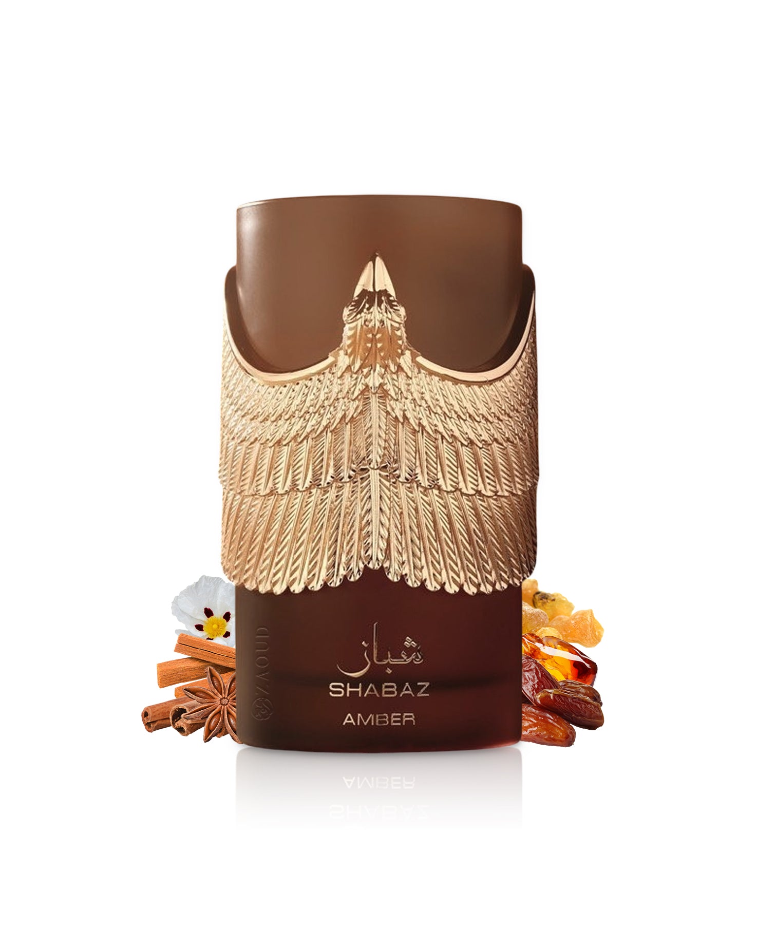 Shabaz Amber perfume bottle with decorative elements like amber and dates on a white background