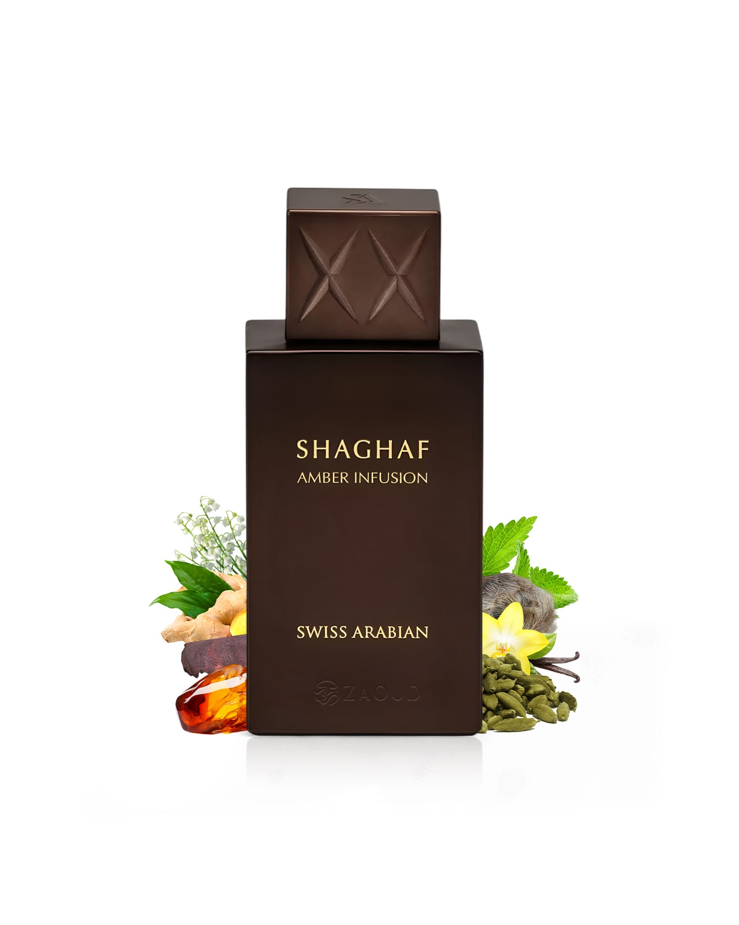 Shaghaf Amber Infusion perfume bottle surrounded with fragrance notes on a white background