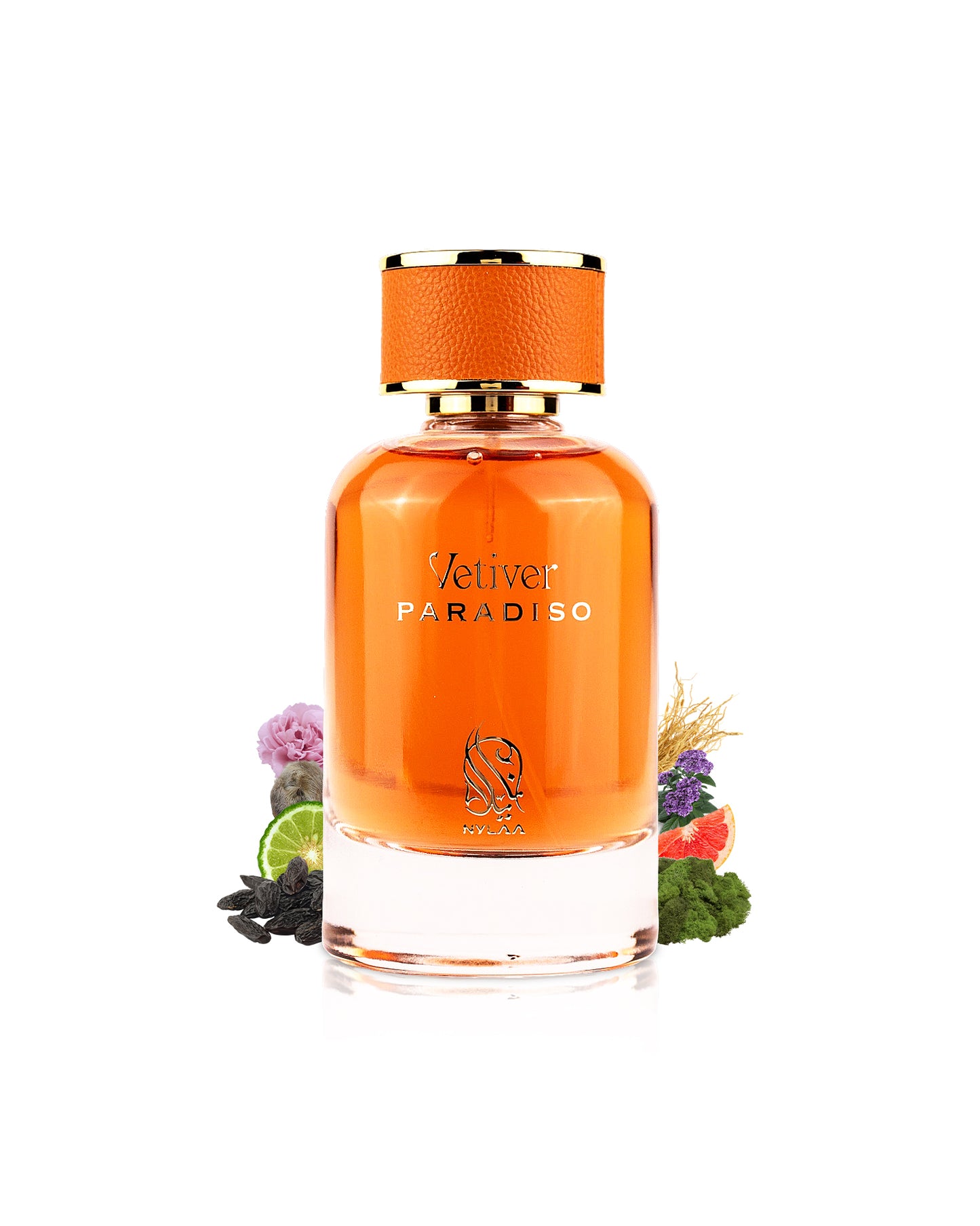 nylaa vetiver paradiso perfume bottle surrounded with fragrance notes like tonka beans and citrus shows from behind the bottle against white background