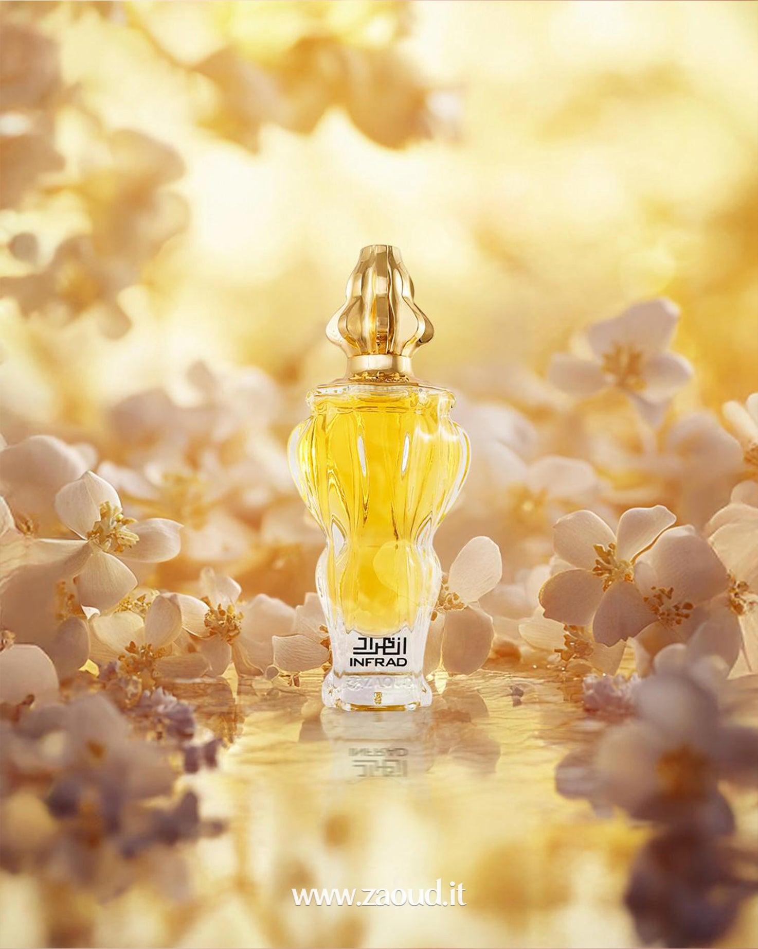 zimaya infrad luxe perfume bottle photograph over reflected surface surrounded with white flowers against yellow blurry background