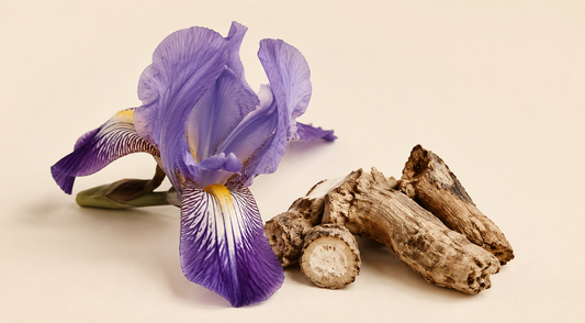 Iris in Perfumery: Origin, History & Why It Costs a Fortune