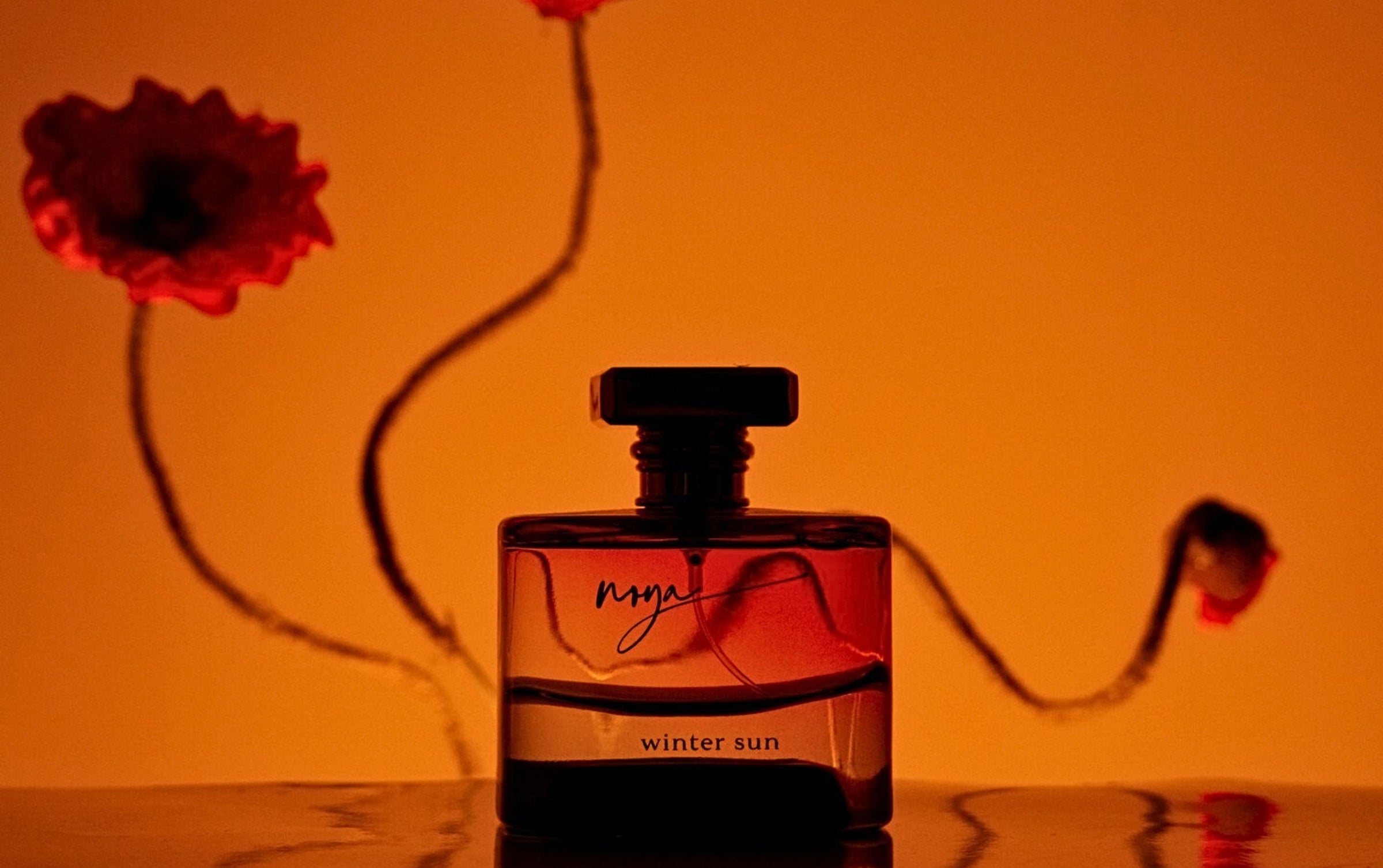winter sun perfume bottle by maison de noya.
