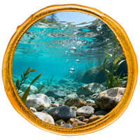 Underwater view with rocks and bubbles through a circular frame.