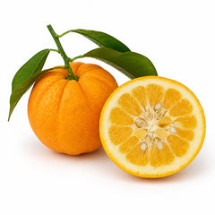 Bigarade fragrance note