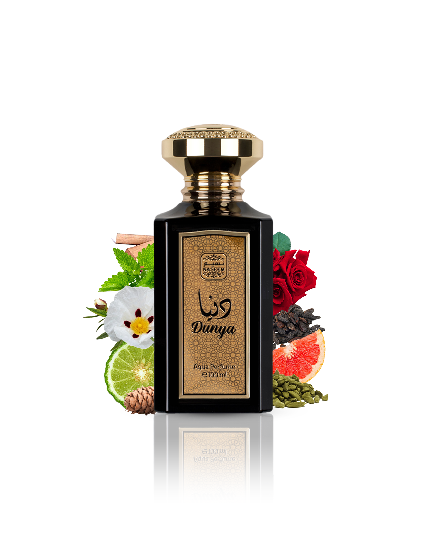 Dunya aqua parfum by naseem perfume bottle surrounded with its ingredients like cardamom and bergamot with many others shows from behind the bottle against white background