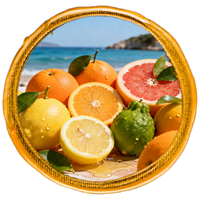Assorted citrus fruits on a plate with a beach background