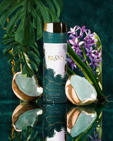 khadlaj island deodorant bottle photograph beside coconut over reflected surface