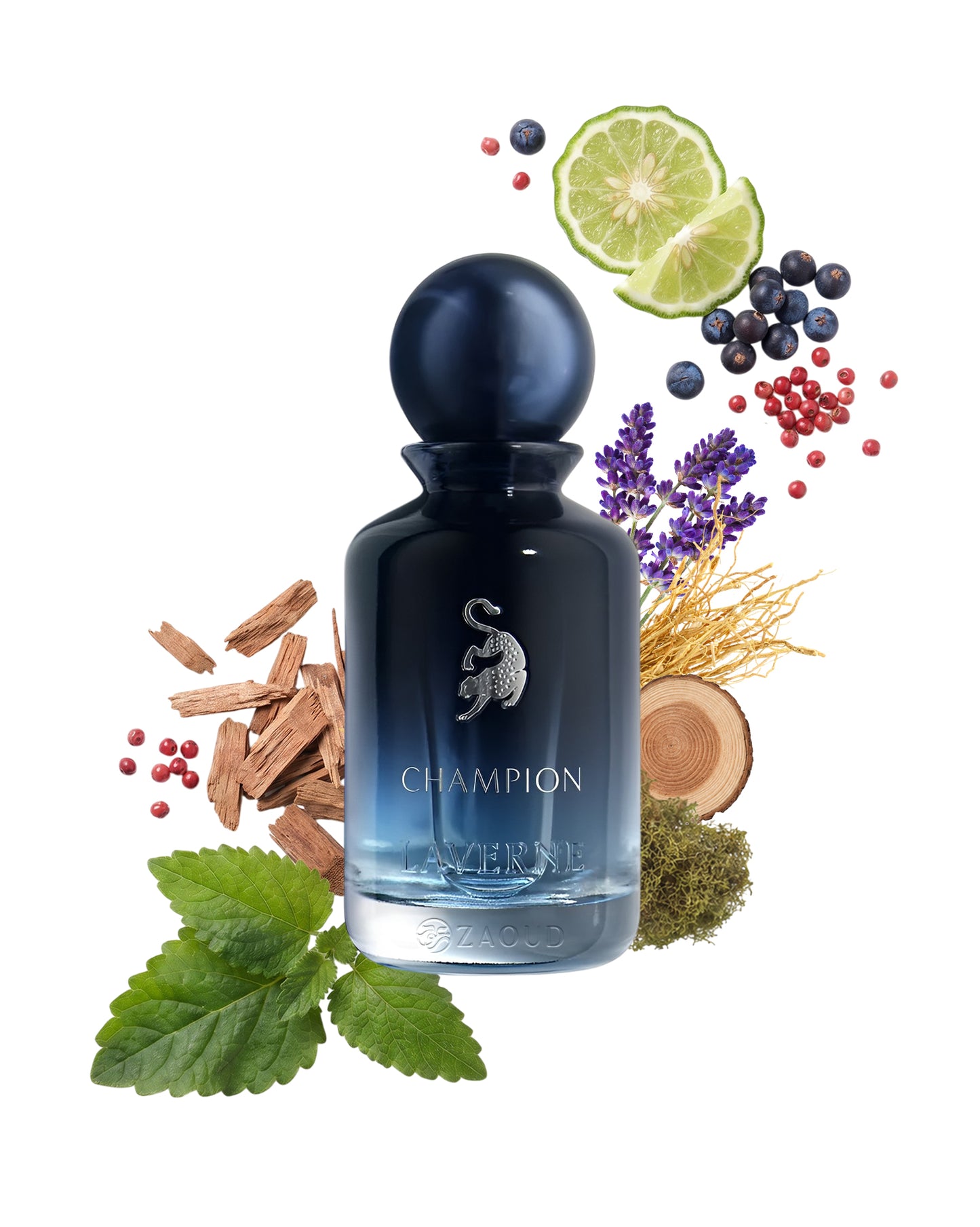 laverne champion perfume bottle surrounded with fragrance notes like patchouli and vetiver shows against white background