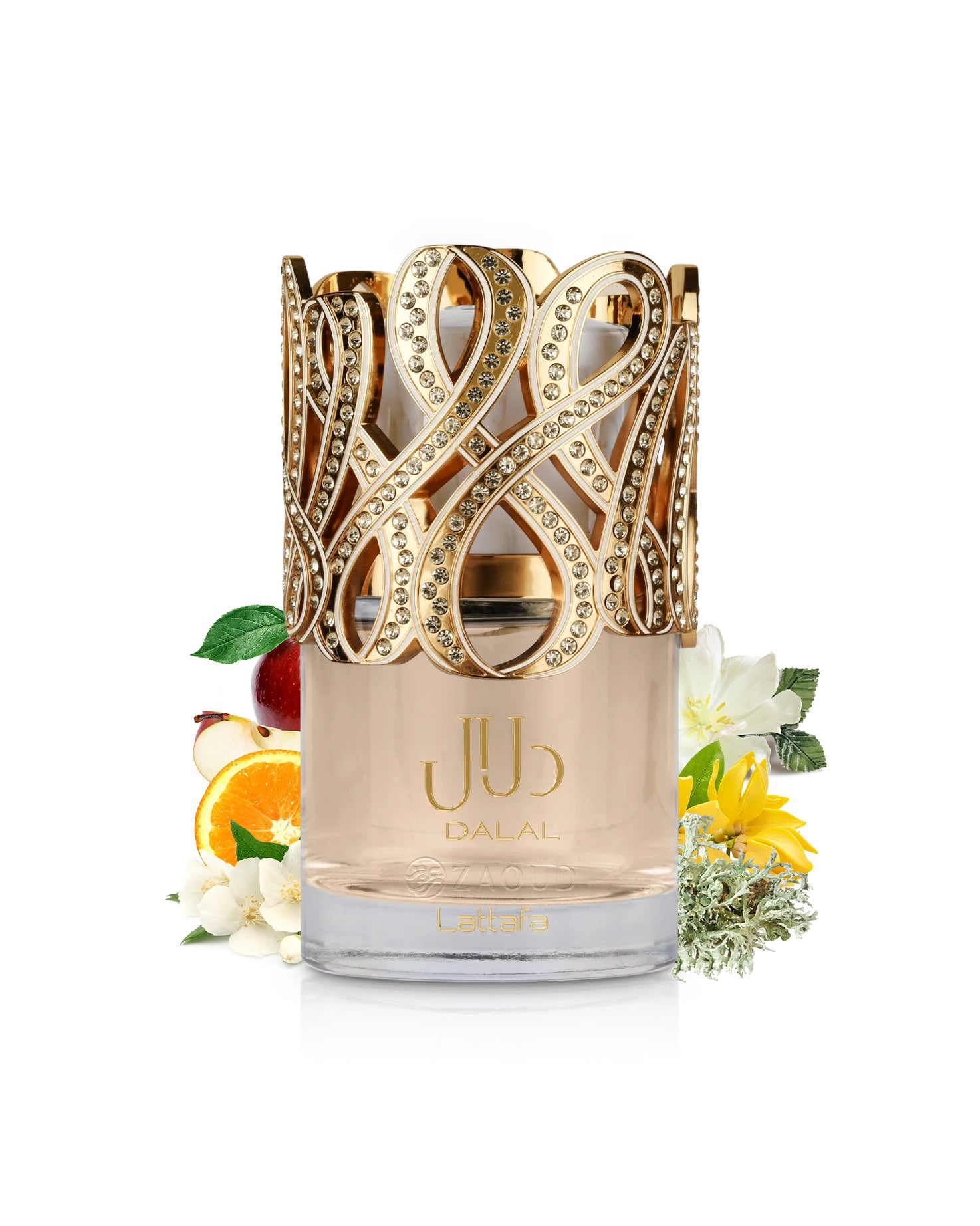 lattafa dalal perfume bottle with golden cap surrounded by fragrance notes like jasmine and oakmoss shows against white background