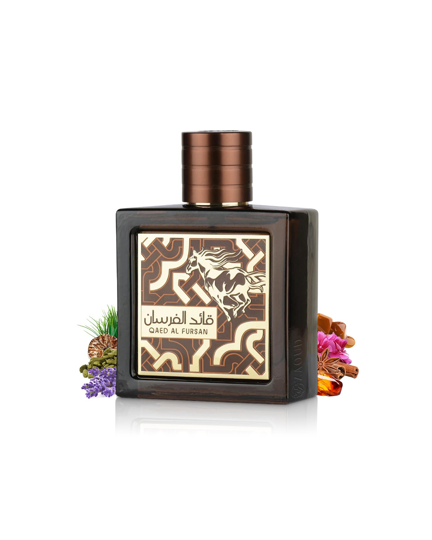qaed al fursan untamed perfume bottle surrounded with fragrance notes like spices and amber  shows against white background