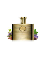 maison alhambra tonic malt perfume bottle surrounded with fragrance notes like spices shows against white background