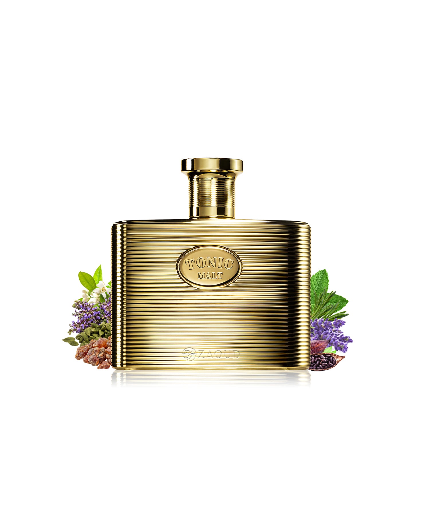maison alhambra tonic malt perfume bottle surrounded with fragrance notes like spices shows against white background