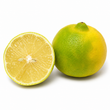 Palestinian Sweet Lime fragrance note