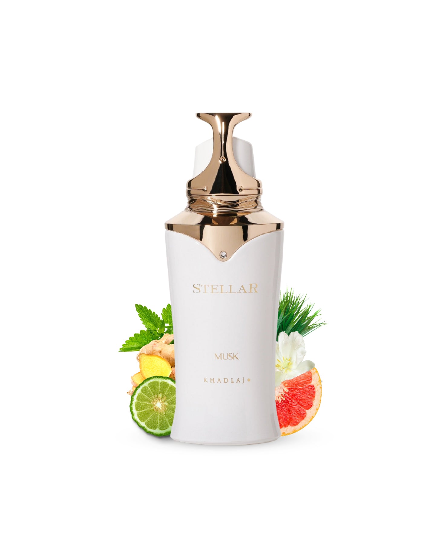 STELLAR MUSK edp perfume bottle surrounded by ginger bergamot against white background