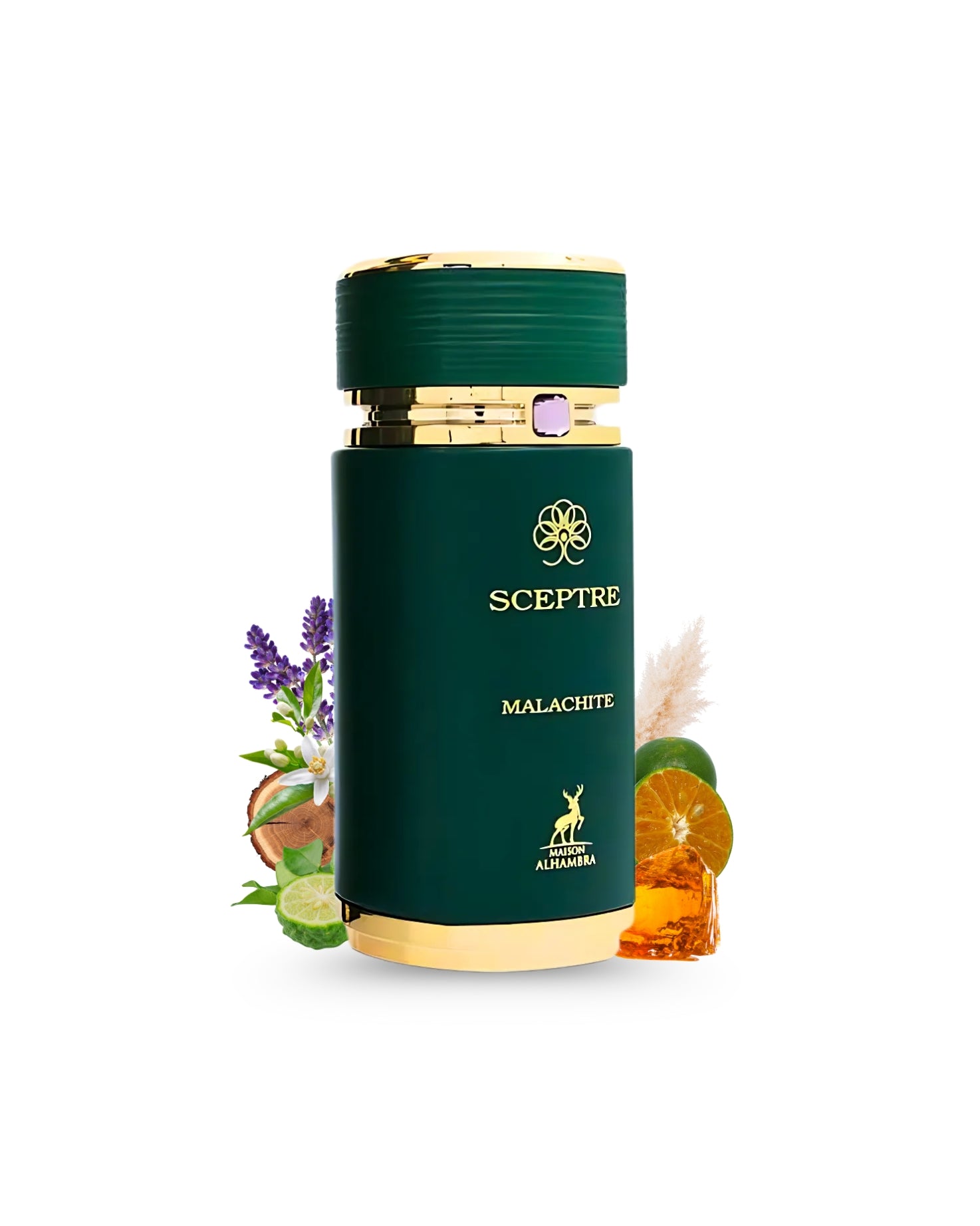 SCEPTRE MALACHITE perfume bottle surrounded with fragrance notes like bergamot and amber shws against white background