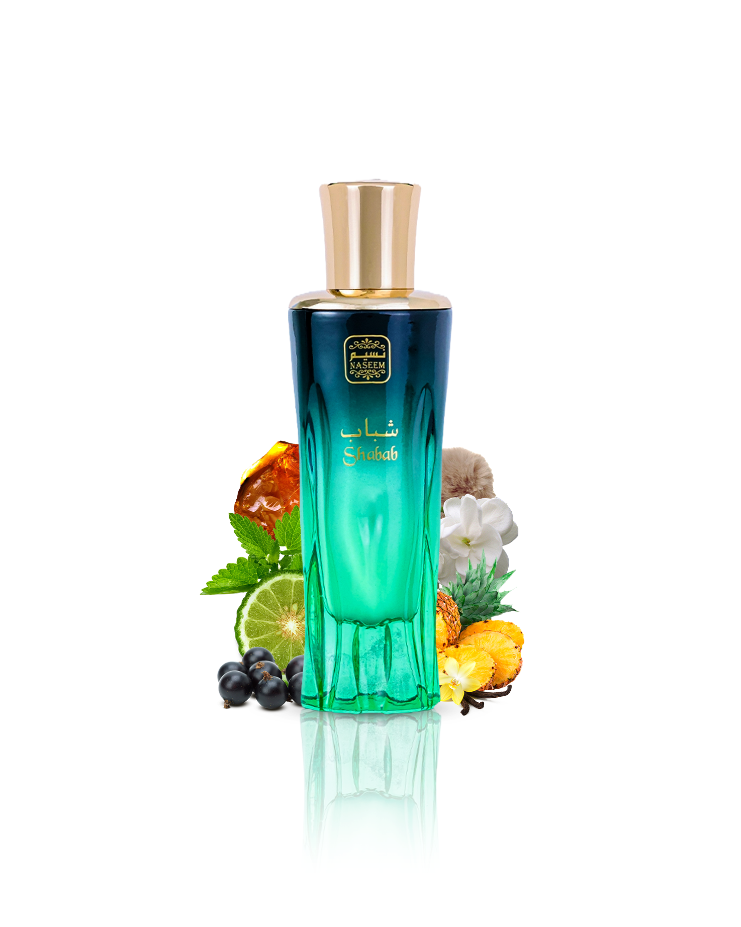 Shabab aqua parfum by naseem perfume bottle surrounded with its ingreedients like ananas and bergamot with many others shows from behind the bottle against white backgroundshows against white background