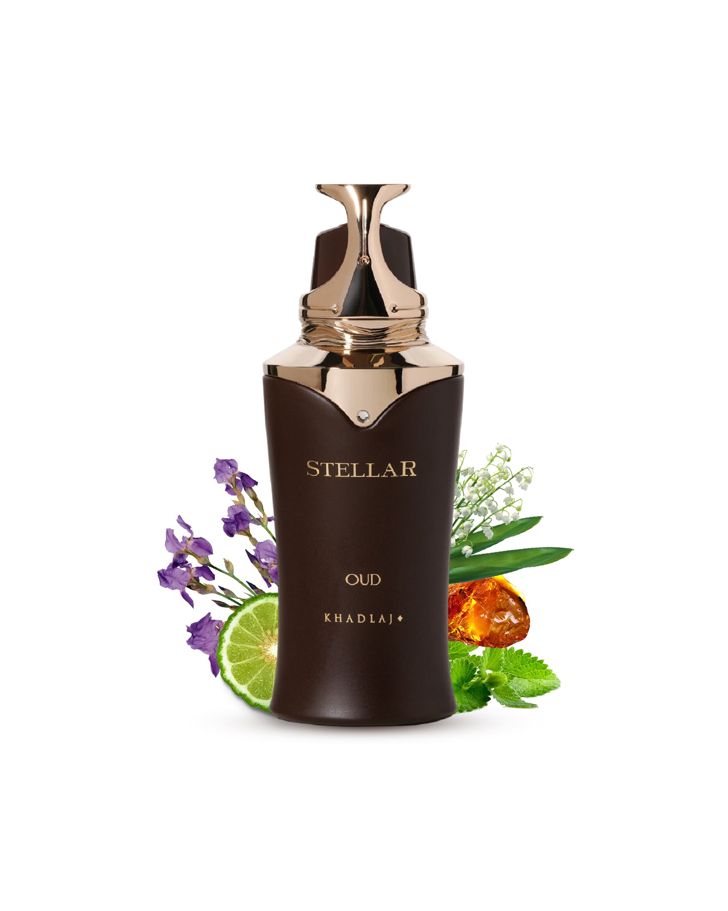 Stellar oud Edp perfume bottle surrounded by amber iris against white background