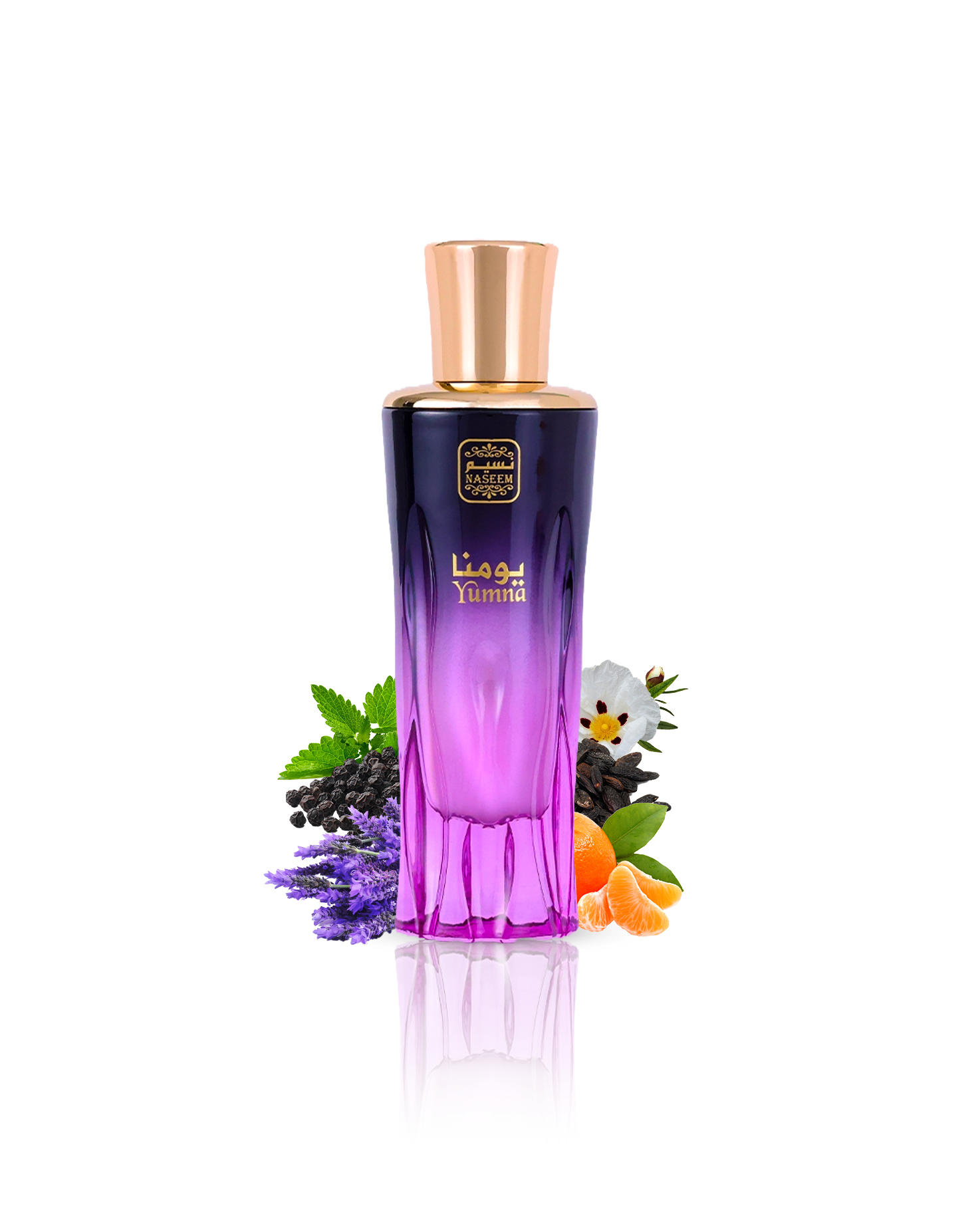 yumna aqua parfum by naseem perfume bottle surrounded with ingredients like mandarine and lavender with many more shows from behind the bottle against white background