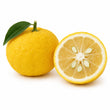 Yuzu fragrance note