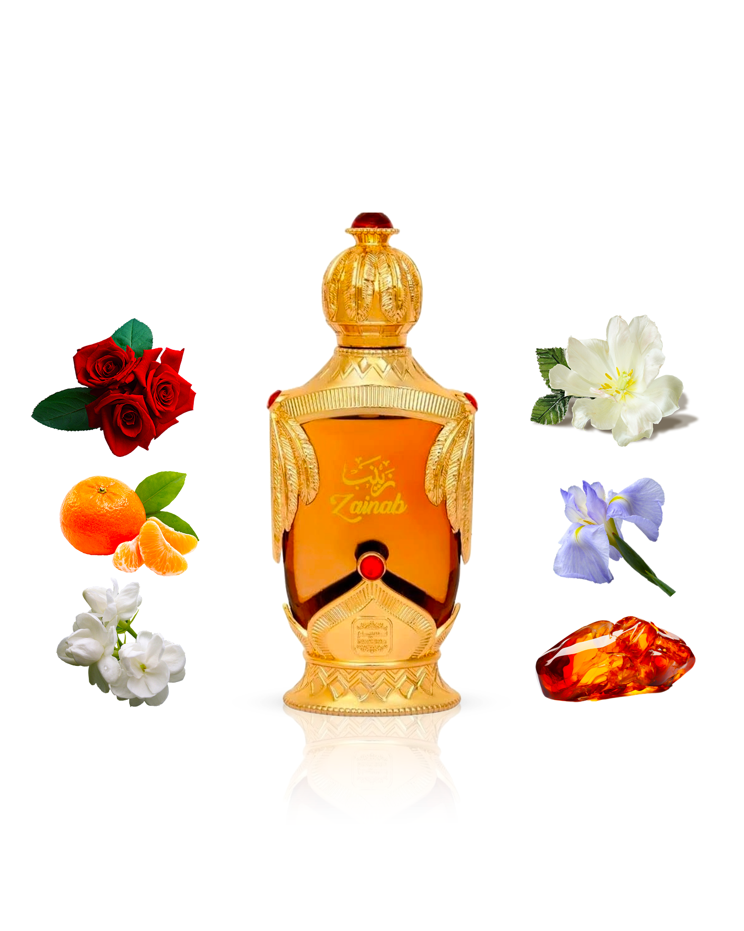 zainab perfume oil golden bottle surrounded with ingredients like orange and amber with many others  shows against white background