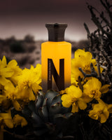african sunset aqua parfum bottle surrounded by yellow cactus flower