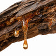 Amberwood fragrance note