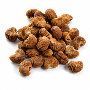 A pile of small, kidney-shaped brown Ambrette seeds or nuts with textured, ribbed outer shells, arranged on a plain white background.