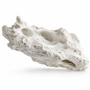 Ambroxan fragrance note